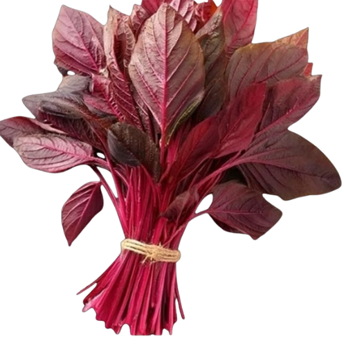AMARANTHUS SAAG JABA KUSUM RED